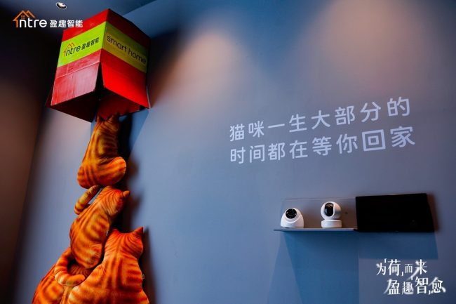 1733818281-28b15a7fd36b5a2 1733818281-28b15a7fd36b5a2