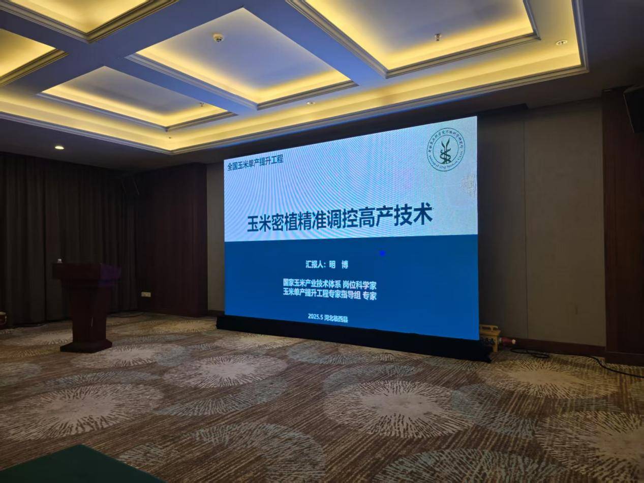 乡合：科技种田+全程服务，助90后小白种出高产田