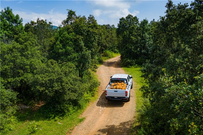 昆明试驾体验：上汽大通 2026 款星际 L，农业创富好帮手