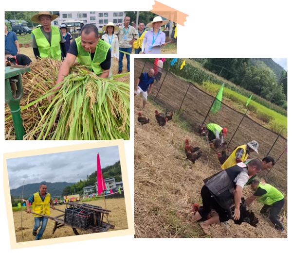 1758558542-e57feb9fb983853