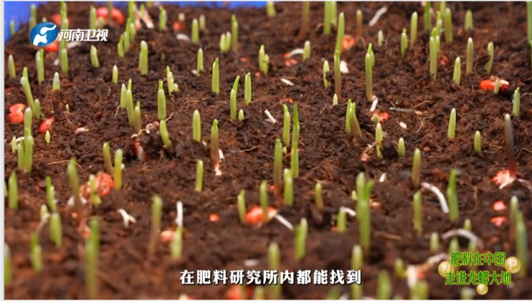 1763988212-fdbe5927de226ab 1763988212-fdbe5927de226ab