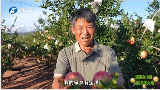 1763988130-226d49d8a234bb6 1763988130-226d49d8a234bb6