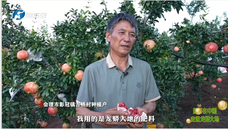 河南卫视《肥料在中国》栏目走进龙蟒大地，探寻藏于田垄之间的“家乡宝贝”