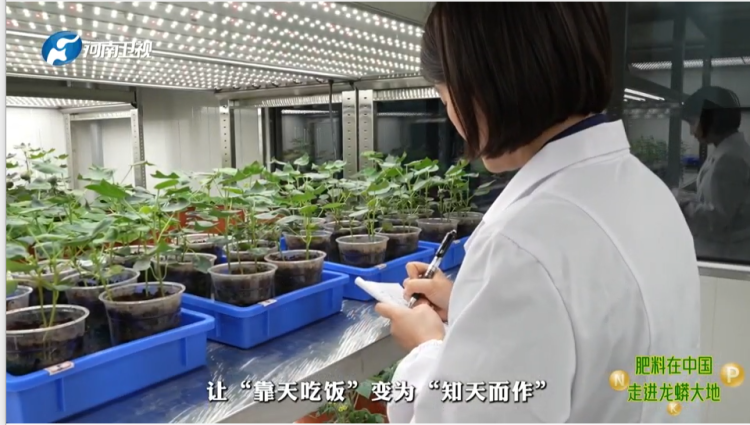 1763988201-acbdec8fc2f9d71 1763988201-acbdec8fc2f9d71