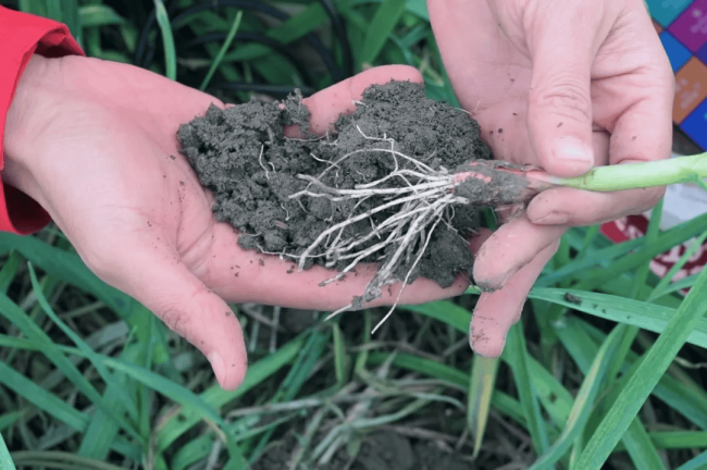 33eacf08148b48acabc02e6320cbf144 33eacf08148b48acabc02e6320cbf144