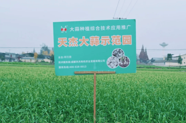 97b32f47d013467ab6bb0c088cec8509 97b32f47d013467ab6bb0c088cec8509