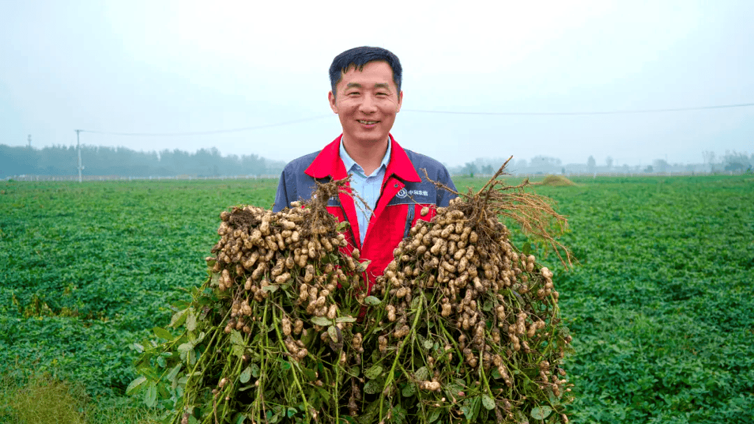 临泉县乡合农服负责人祁伟：从种子到大树，他走了五年