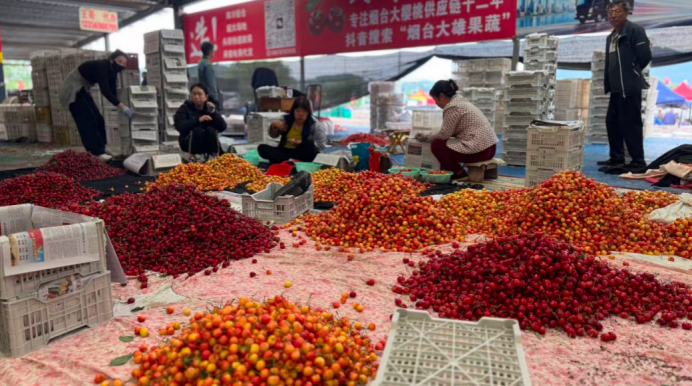 https://china.zgpkcw.com/wp-content/uploads/2026/06/af8d9-4a19a5eb423d4bcc37f0e99a6e6fa675.png