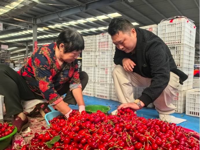 https://china.zgpkcw.com/wp-content/uploads/2026/06/bc72f-b04ea420d380e61fdb4da19ccdbca3e3.png